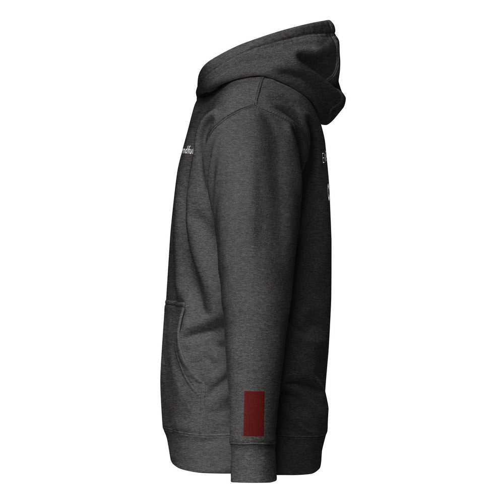 Embrace Chaos Hoodie - Myndful Apparel