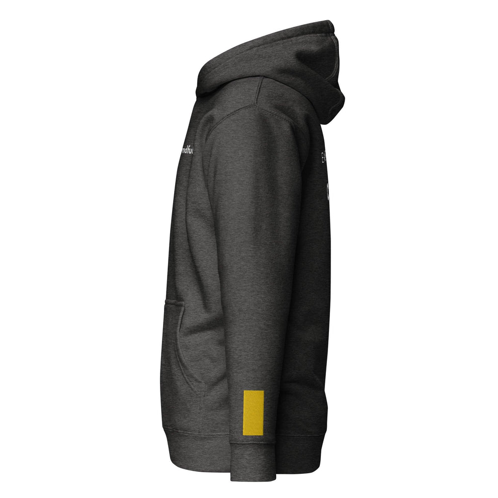 Embrace Chaos Hoodie - Myndful Apparel